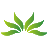 深圳小草信息科技有限公司，為應急、公安、消防等行業提供網絡傳輸解決方案