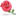 網(wǎng)上送花,鮮花速遞,全國鮮花訂購平臺|時尚鮮花網(wǎng)-www.flower18.com.cn