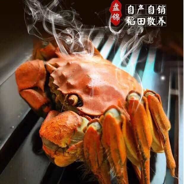 盤錦河蟹官網(wǎng)，供應(yīng)盤錦河蟹，盤錦稻田蟹，盤錦河蟹禮盒，盤錦河蟹蟹卡，蟹苗