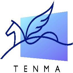 天馬工場(chǎng)是一個(gè)提供軟件開(kāi)發(fā)、集成、運(yùn)營(yíng)、運(yùn)維服務(wù)的平臺(tái)，集中服務(wù)于APP和微信兩大業(yè)務(wù)領(lǐng)域的研發(fā)建設(shè)和APP、微信、微博及各大短視頻平臺(tái)的運(yùn)營(yíng)推廣。天馬工場(chǎng)致力于通過(guò)平臺(tái)的建設(shè)，提升企業(yè)的APP和微信應(yīng)用軟件研發(fā)效率，服務(wù)的升級(jí)以及運(yùn)營(yíng)盈利能力。