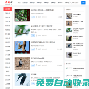 花鳥吧專注鳥類愛護，鳥類飼養，鳥類知識大全，鳥類大全，鳥類網
