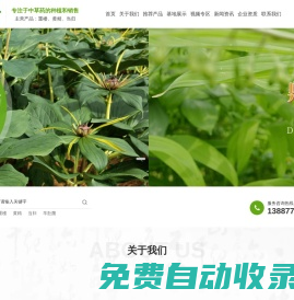 中草藥種植_中草藥批發(fā)_鼎諾天樸中草藥_玉溪佳拓農(nóng)業(yè)發(fā)展有限公司
