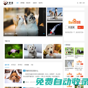 讓鏟屎官更好的了解寵物喂養(yǎng)護(hù)理知識(shí) - 半更網(wǎng)