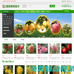 果樹苗多個品種_桃樹苗_梨樹苗_杏樹苗等_唐姍果樹種植專業(yè)合作社