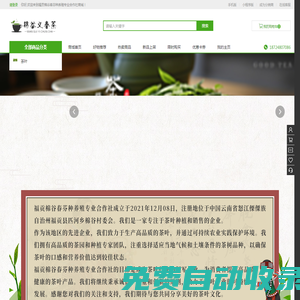 棉谷義春茶_云南綠茶加工銷售_好品質(zhì)綠茶批發(fā)_福貢棉谷春芬種養(yǎng)殖專業(yè)合作社