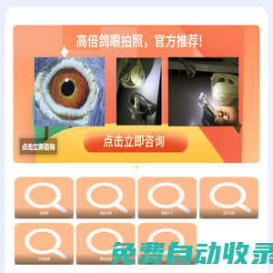 查鴿天下-信鴿足環(huán)號(hào)查詢-查鴿網(wǎng)