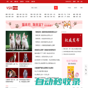 VSO中寵網