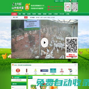 山林散養(yǎng)土雞蛋|非籠養(yǎng)雞蛋|土雞蛋|谷物蛋|高營(yíng)養(yǎng)可生食雞蛋-土大媽山林散養(yǎng)土雞蛋官網(wǎng)