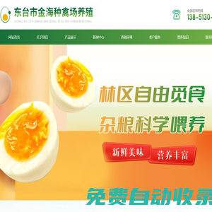 綠殼雞蛋價(jià)格|營養(yǎng)價(jià)值|土雞蛋批發(fā)-江蘇省東臺(tái)市金海種場常年大量養(yǎng)殖直供-東臺(tái)市金海種禽場養(yǎng)殖