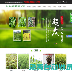 雅安市名山區(qū)超眾苗木種植農(nóng)民專業(yè)合作社