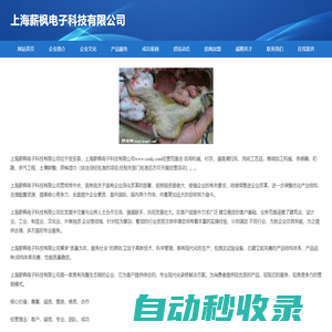 首頁-上海薪楓電子科技有限公司