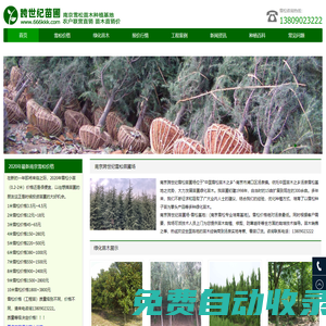雪松_雪松價(jià)格_雪松小苗_雪松基地--南京跨世紀(jì)雪松苗圃場