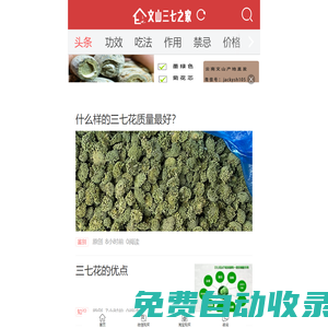 文山三七之家-三七專業網站,三七粉,三七花等功效,作用,正確吃法,禁忌,價格,批發,零售報價網站