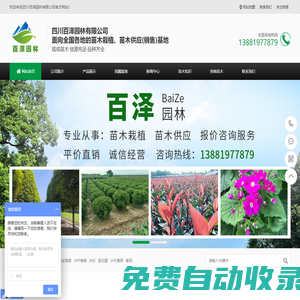 四川綠化苗木_苗木基地_苗木價格_苗木批發-四川百澤園林有限公司