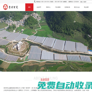 貴州百靈企業(yè)集團制藥股份有限公司