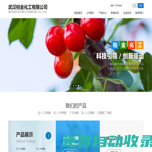 武漢柏金化工有限公司--武漢柏金化工|武漢柏金|柏金化工