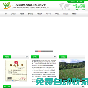 遼寧佳園軟棗獼猴桃研發(fā)有限公司-軟棗子苗，軟棗子獼猴桃苗,軟棗獼猴桃苗,軟棗獼猴桃,奇異莓,奇異莓苗