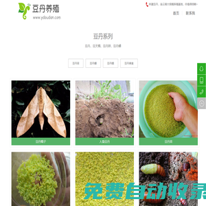 豆丹|豆丹養(yǎng)殖「十年經(jīng)驗」-連云港灌云林建豆丹養(yǎng)殖基地