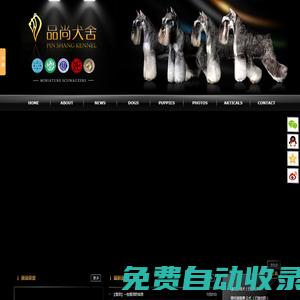 蘇州品尚犬舍 - 專業(yè)繁殖迷你雪納瑞 - 品尚犬舍
