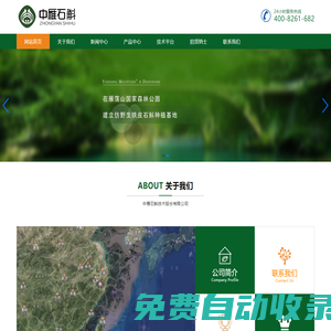 中雁石斛技術(shù)股份有限公司_鐵皮石斛