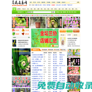 中國蘭花交易網 － 蘭花拍賣,中蘭網,蘭草交易,蘭花圖片,了解中國蘭花盡在本蘭花網