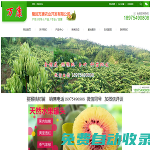 種植好項(xiàng)目/萬(wàn)康農(nóng)業(yè)