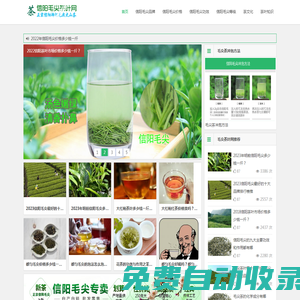 信陽毛尖價格-毛尖品牌排名-信陽毛尖茶葉網「半買半送」