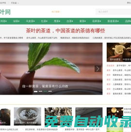 忠普茶網-茶行業資訊站,綠茶,白茶,紅茶,烏龍茶,茶道,茶具,資訊,批發,價格