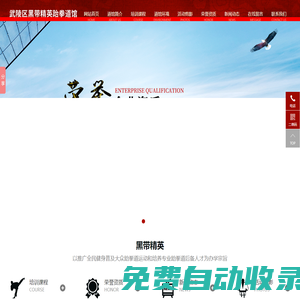 武陵區(qū)黑帶精英跆拳道館_黑帶精英跆拳道館專業(yè)跆拳道|黑帶精英跆拳道業(yè)余學生跆拳道