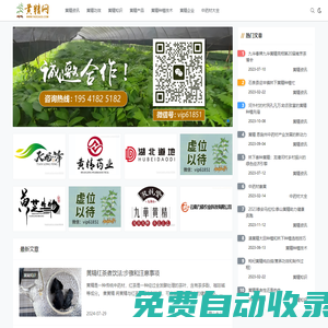 黃精藥材功效_黃精種植技術 - 黃精網