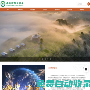安徽茶網(wǎng)- 安徽省茶業(yè)協(xié)會