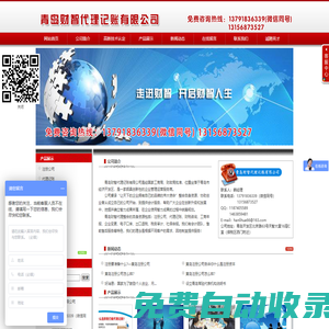 青島財(cái)智代理記賬有限公司