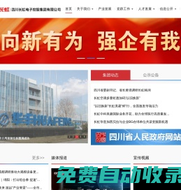 四川長虹電子控股集團(tuán)有限公司