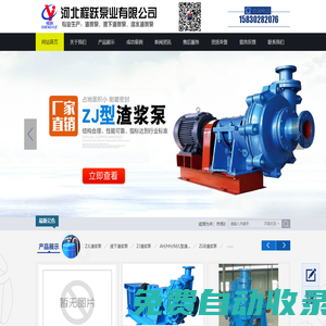 渣漿泵_ZJ渣漿泵_ZGB渣漿泵_高揚(yáng)程渣漿泵_液下渣漿泵廠家_潛水渣漿泵_河北渣漿泵-河北程躍泵業(yè)有限公司