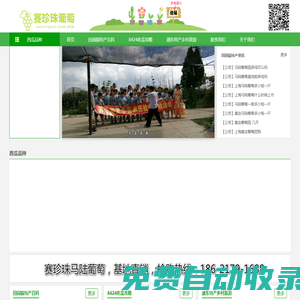 南匯8424西瓜網(wǎng)-南匯8424西瓜網(wǎng)丨南匯8424西瓜采摘價(jià)格多少錢一斤丨南匯8424西瓜禮盒