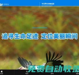 湖南環球信士科技有限公司_湖南野生動物追蹤|湖南衛星追蹤器