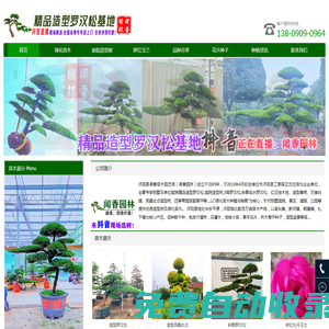 精品造型羅漢松_庭院造型樹_S彎羅漢松_斜飄臨水羅漢松_基地價(jià)格_江蘇聞香園林苗木場