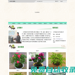 永濟(jì)市艷裝牡丹科技開(kāi)發(fā)有限公司―牡丹,芍藥,花木,苗木,鮮切花供應(yīng)基地