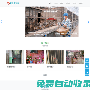 猴子收購,猴子撲捉,實(shí)驗(yàn)猴子養(yǎng)殖,哪里賣猴子,新野利民獼猴養(yǎng)殖場(chǎng)首頁