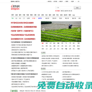 豬價格網-今日生豬價格走勢|最新生豬價格行情|豬價行情預測的中國豬價網 - 養豬行情信息網