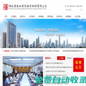 湖北省農(nóng)業(yè)信貸融資擔(dān)保有限公司
