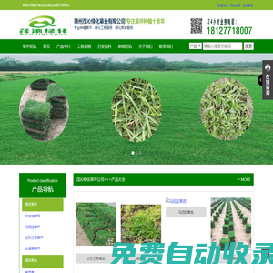 茂沁綠化-專業種植綠化草坪,綠化草皮,綠化草卷,草皮草坪,廣東省內專業的草皮種植供應商,承接各種綠化養護工程