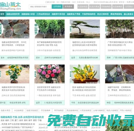 福建東魁楊梅苗批發(fā) D竹鼠豚鼠養(yǎng)殖基地 金線蓮種苗干貨批發(fā)