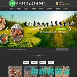 鳳陽縣淮鳳生態(tài)草雞農(nóng)民專業(yè)合作社-安徽草雞出售|鳳陽草雞出售|草泥雞|淮鳳土特產(chǎn)品有限公司|土特產(chǎn)品