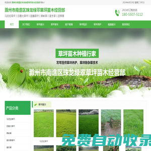 滁州馬尼拉草坪-百慕大草坪-混播草坪-果嶺草-滁州市南譙區(qū)珠龍綠翠草坪苗木經(jīng)營(yíng)部