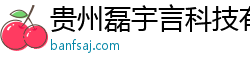 貴州磊宇言科技有限公司