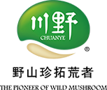 PG·電子(中國)官方網站
