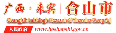 廣西來賓市合山市人民政府門戶網站
