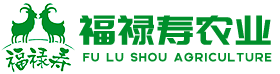 海門山羊肉_江蘇福祿壽農業有限公司