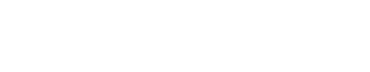 遼寧飛魚-社交電商定制服務(wù)商